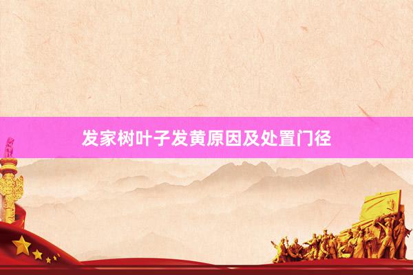 发家树叶子发黄原因及处置门径